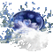 www.tvn