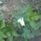 DSC00020