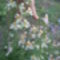 DSC00027