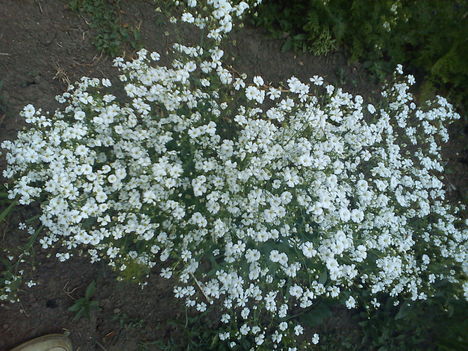 DSC00030