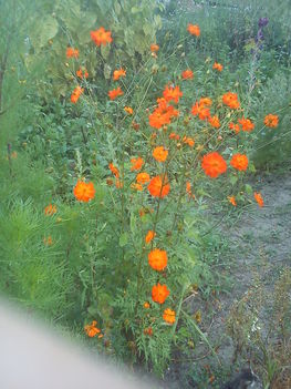 DSC00075
