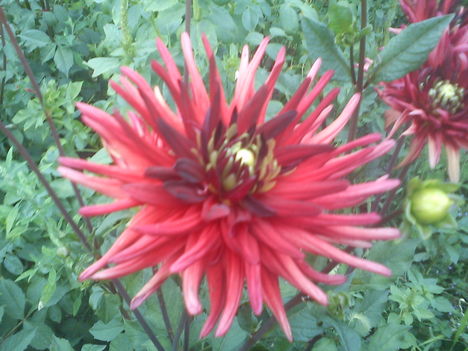 DSC00082