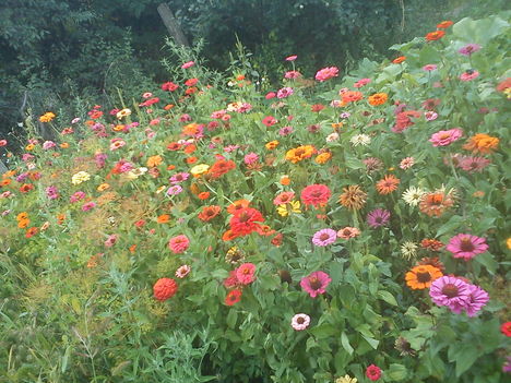 DSC00087