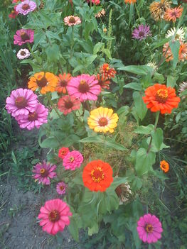 DSC00088