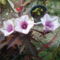 DSC00115