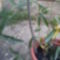 DSC00126