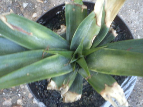 DSC00128