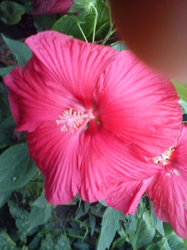 DSC00134