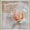 szebb_jovot__562450_29584_n