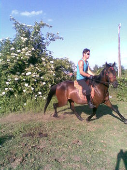 9546024842_Kép235