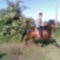 9546024842_Kép235