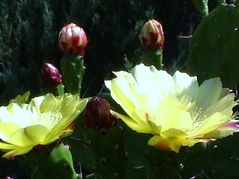 DVC00256