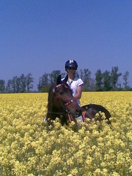 Kép047