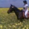 Kép061