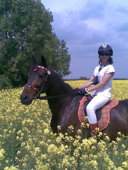 Kép062
