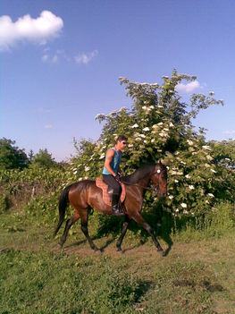 Kép222