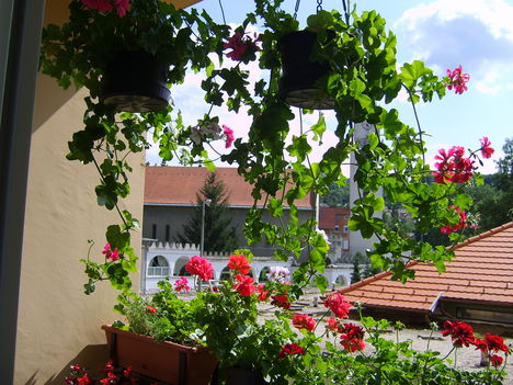 Fotoim 030