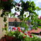 Fotoim 030