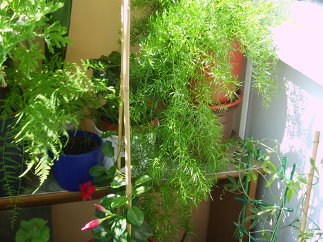 Fotoim 033