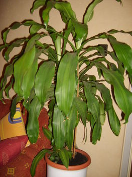 Fotoim 039
