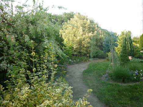 P1060773