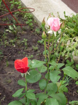 P1070405