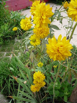 P1070410