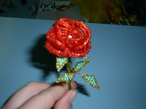 Piros rózsa
