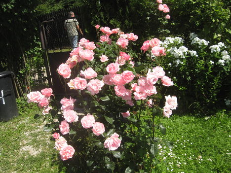 2011julius 023
