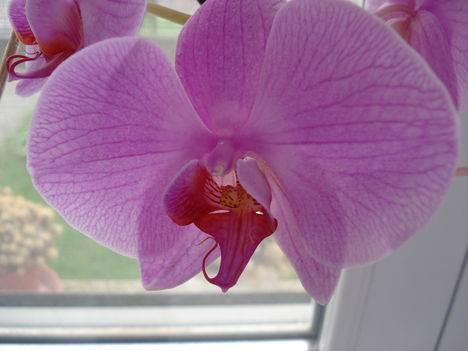 DSC00106