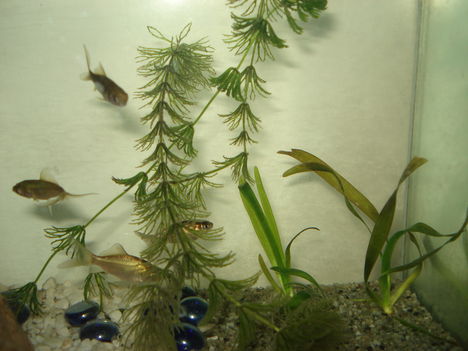 DSC00111