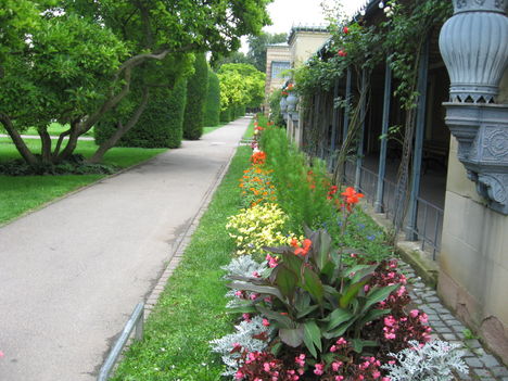 szintén
