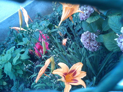 DSC00137