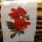 DSCN0579