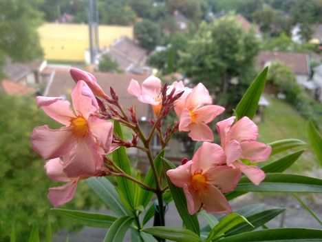 20110731060