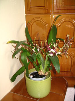 2011 10