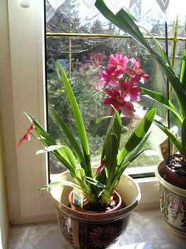 2011 11