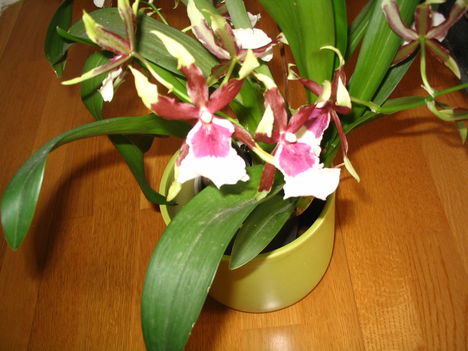 2011 9
