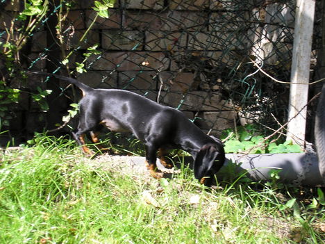 Kép 057