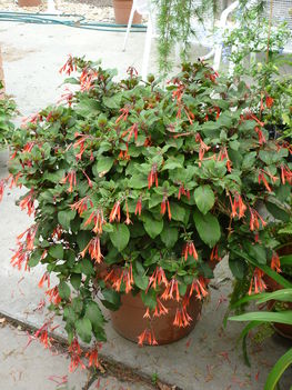 P1070007