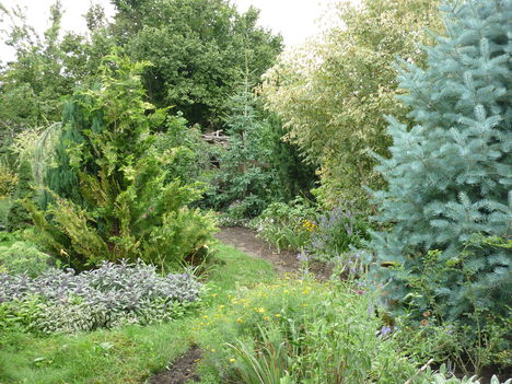 P1070036