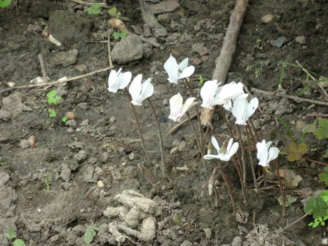 P1070068