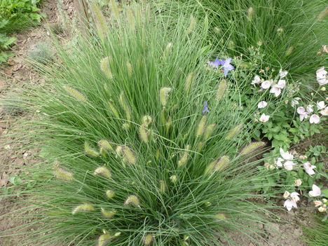 P1070088