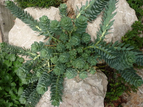 P1070119