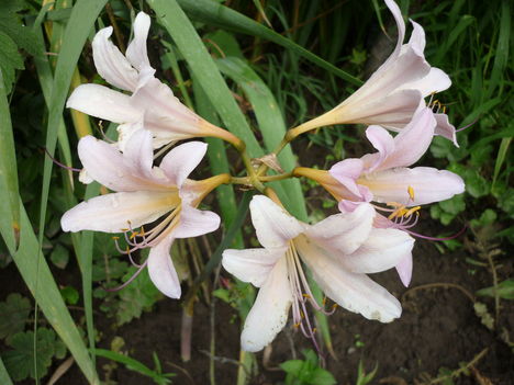P1070130