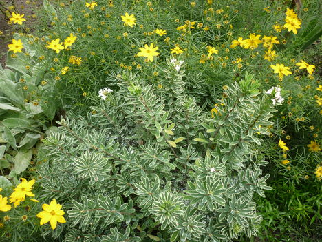 P1070141