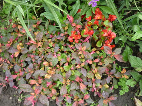 P1070148
