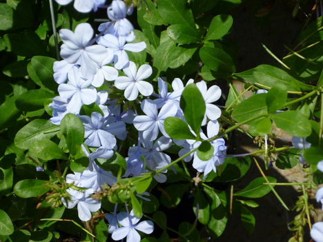 P1070165