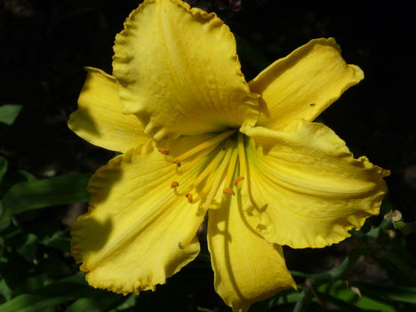 P1070168