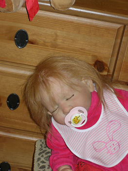 2010_12_28 004